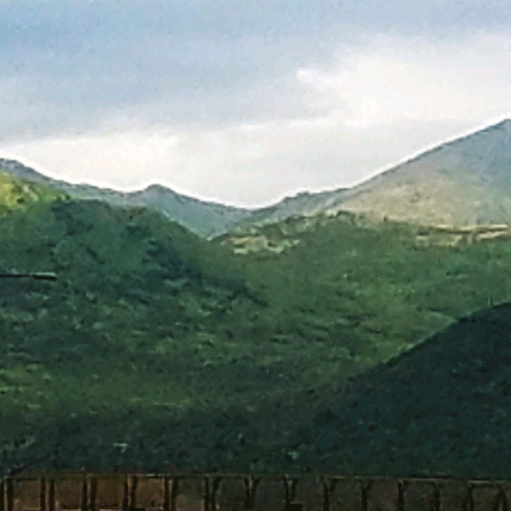 Meet your Posher, Deborah